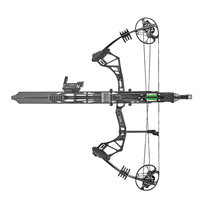 Whipshot