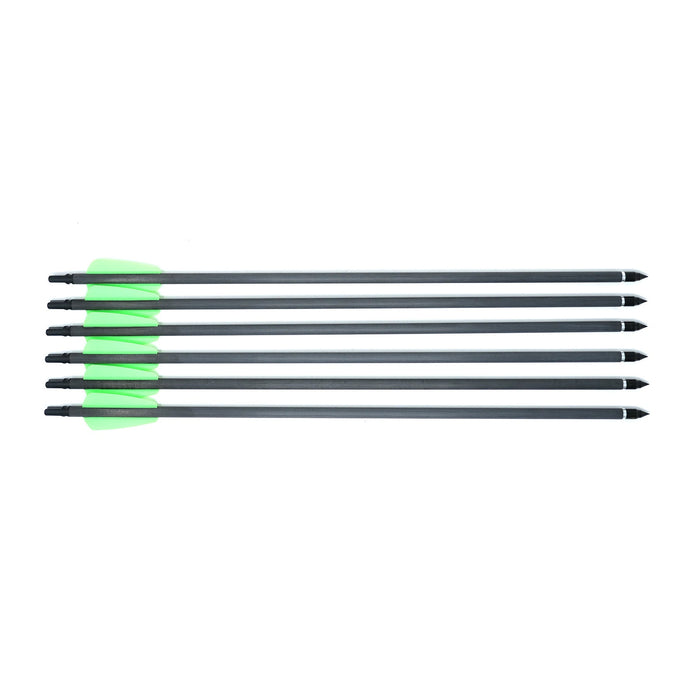 Arrows for Whipshot (6-pack)