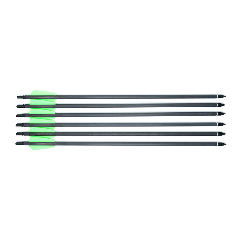 Arrows for Whipshot (6-pack)